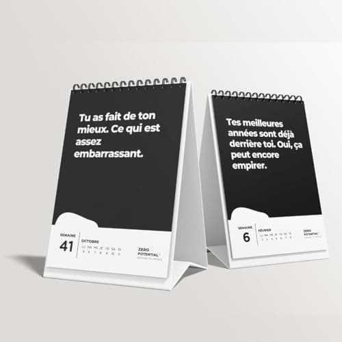 Demotivierender Adventskalender für Erwachsene - 30 Tage voller Hoffnungslosigkeit
| Erwachsener Demotivierender Advent