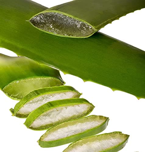Dr. KIM BEISEL Reines Aloeveragel 98% (2 Stück à 200ml) für Sensibles Haut, Reinigung & Nourishment, pH-Gerecht & Bio-Ze