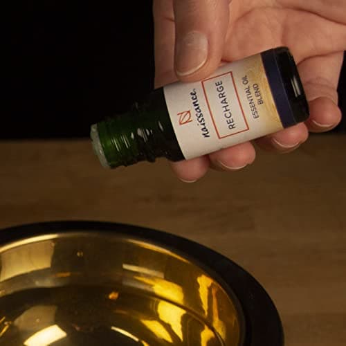 Naissance Jojobaöl Gold - Für Haare und Haut - Kaltgepresst - 450ml - Massage und Kosmetik - Compact by Design