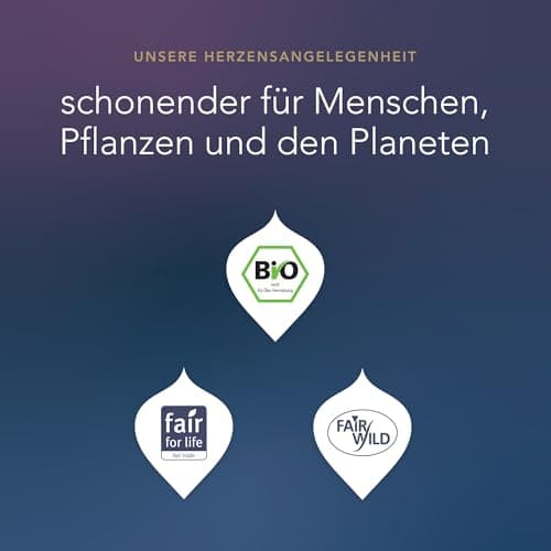 Pukka Bio Tee Geschenkset Wohlfühlkalender 2025 12 Tee Varianten EU Organic Soil Association
