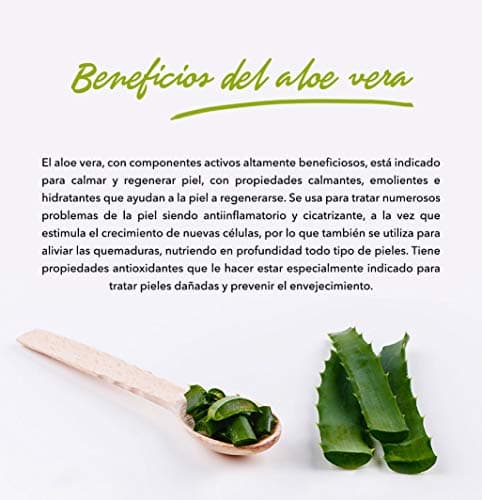 Tabaiba Aloe Vera Hydratierungsiegel Für Trockenhafte Haut, 300ml (1er Pack)