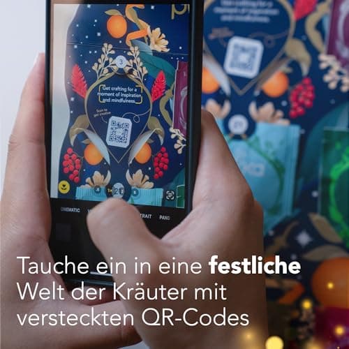 Pukka Bio Tee Geschenkset Wohlfühlkalender 2025 12 Tee Varianten EU Organic Soil Association